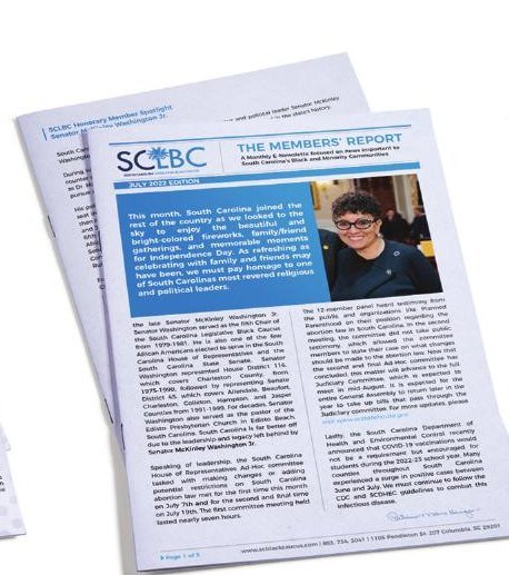 SCTBC members report design