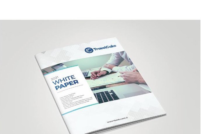 TravelCake white paper design