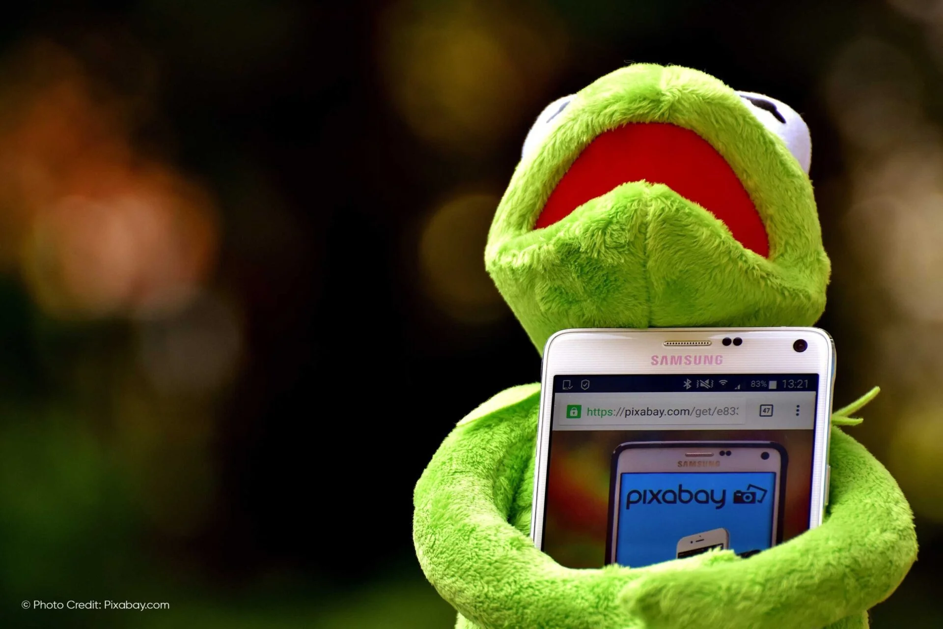 Your-Ultimate-Resource-for-Free-Stock-Photos-and-Videos